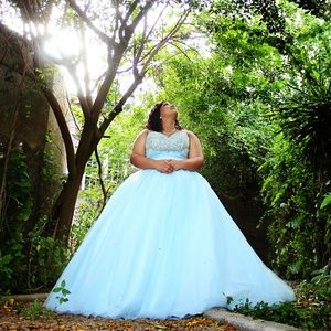Cinderella Inspired Quincianera Dress